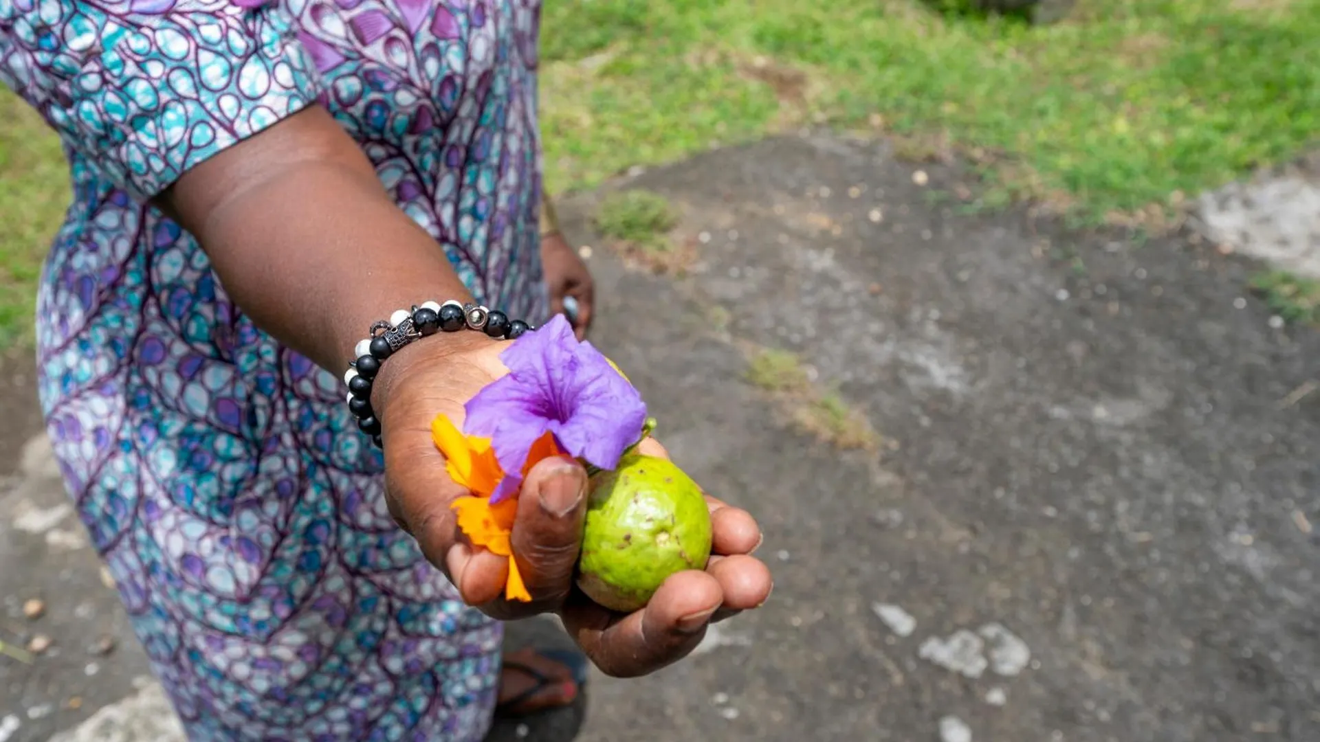 Villa Sucree Sainte-Rose 0*,  Guadeloupe