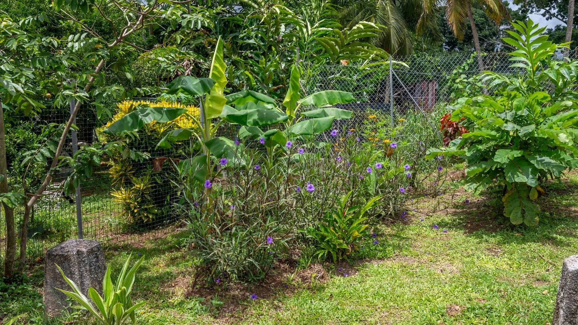 Villa Sucree Sainte-Rose Guadeloupe